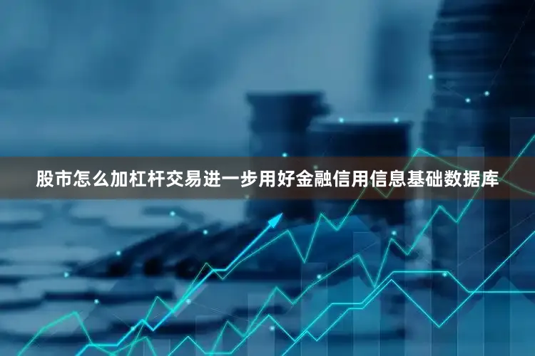 股市怎么加杠杆交易进一步用好金融信用信息基础数据库